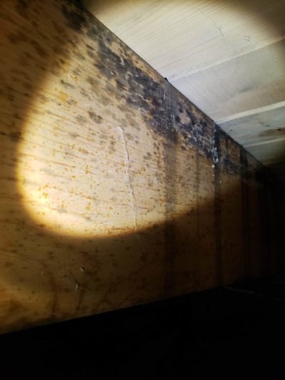 Wood Foundation Cortez Colorado