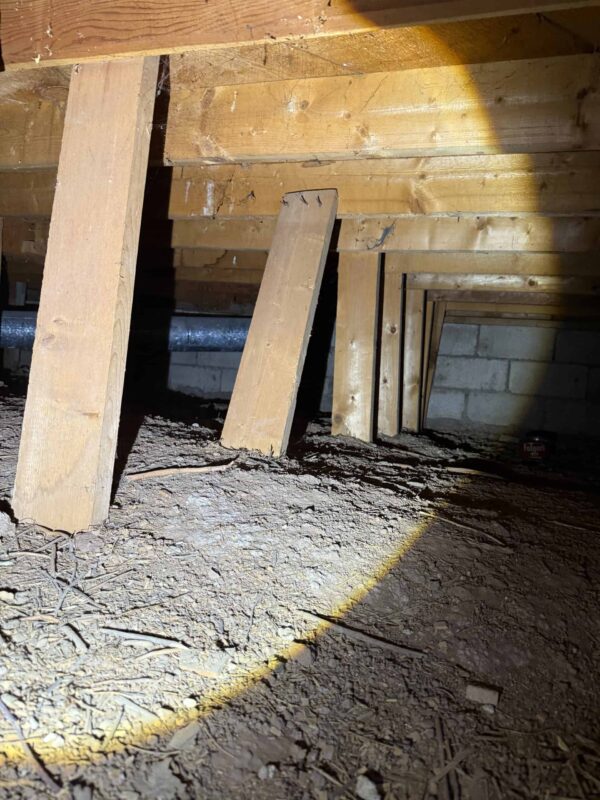 Dolores home inspector floor structure